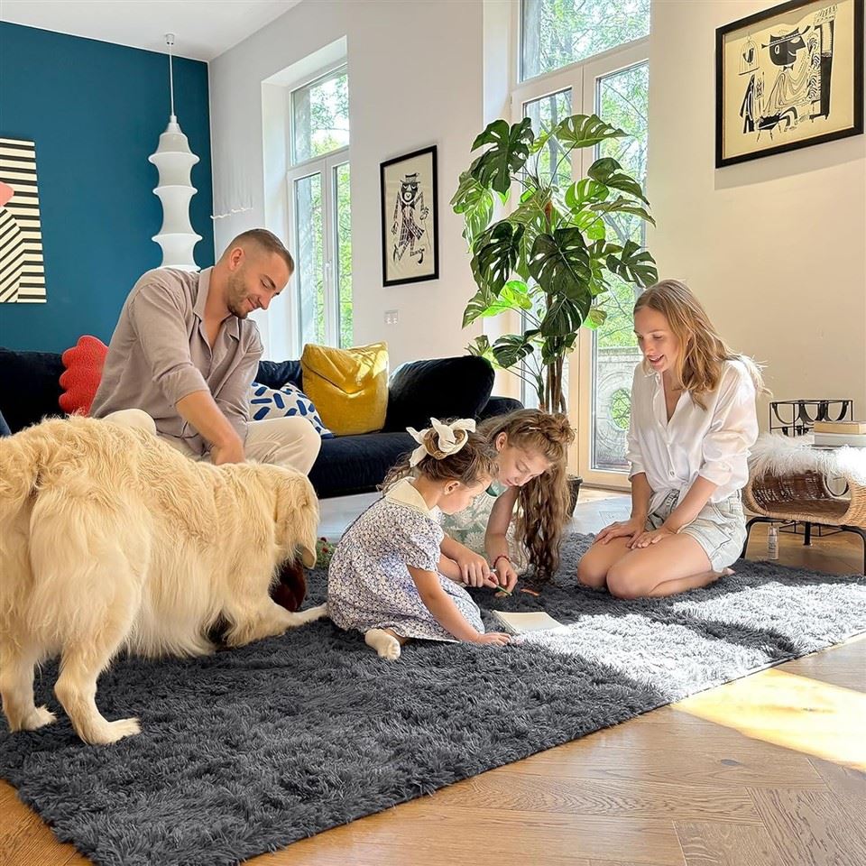 Living Room Carpet