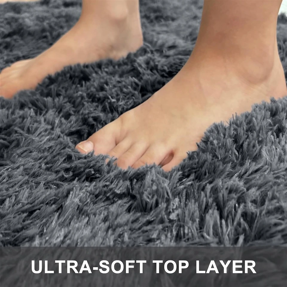 Living Room Carpet